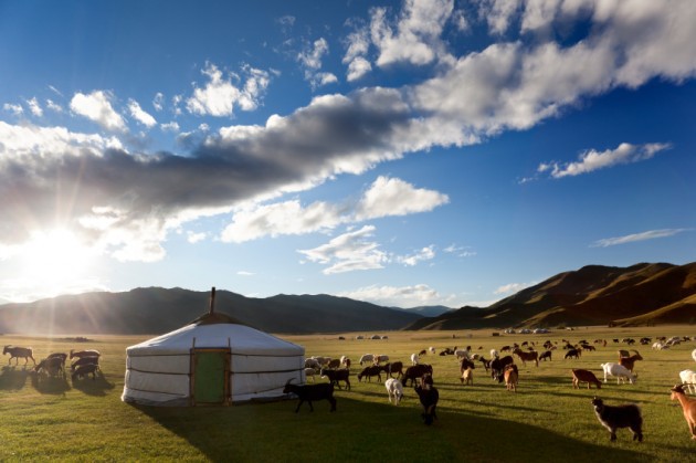 <span style="font-weight: bold;">Mongolia week tour&nbsp;</span><br>