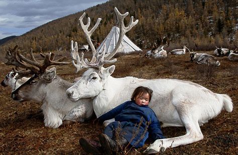 Reindeer breeders